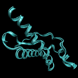 Tredimensionell struktur hos ett prion-protein.
