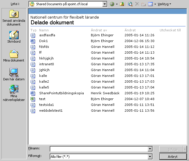 Den delade dokumentytan