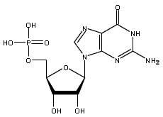 Nukleotid: guanosinmonofosfat.