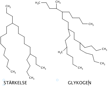 stärkelse och glykogen.png