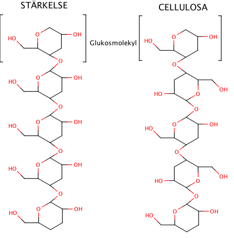 stärkelse och cellulosa.png