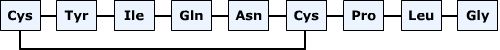 Aminosyrasekvensen hos oxytocin