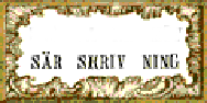 Bild: sär skriv ning