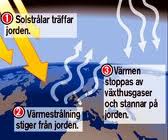 växthus.jpg