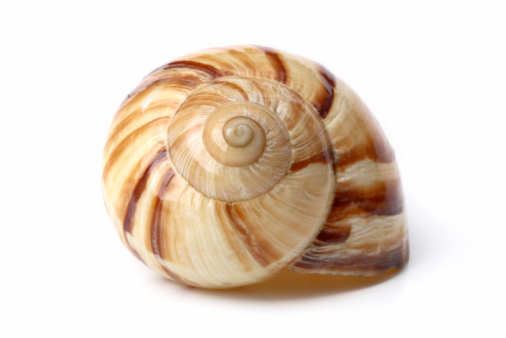 92250705.jpg