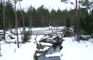 Foto: Bverdamm