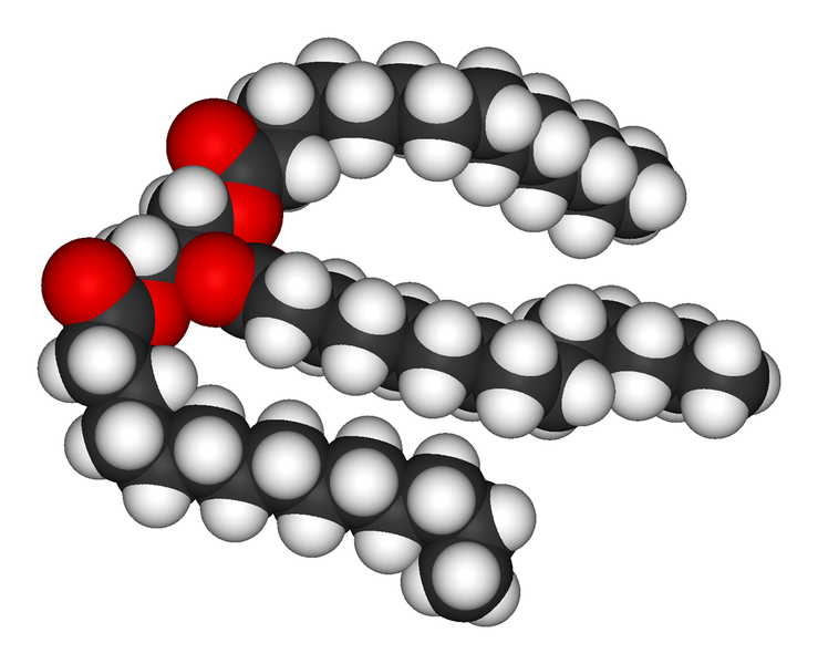 739px-Trimyristin-3D-vdW.png
