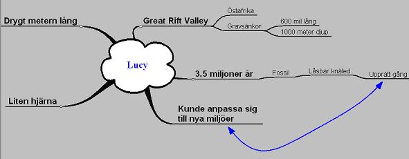 Tankekarta gjord med ett MindMap-program