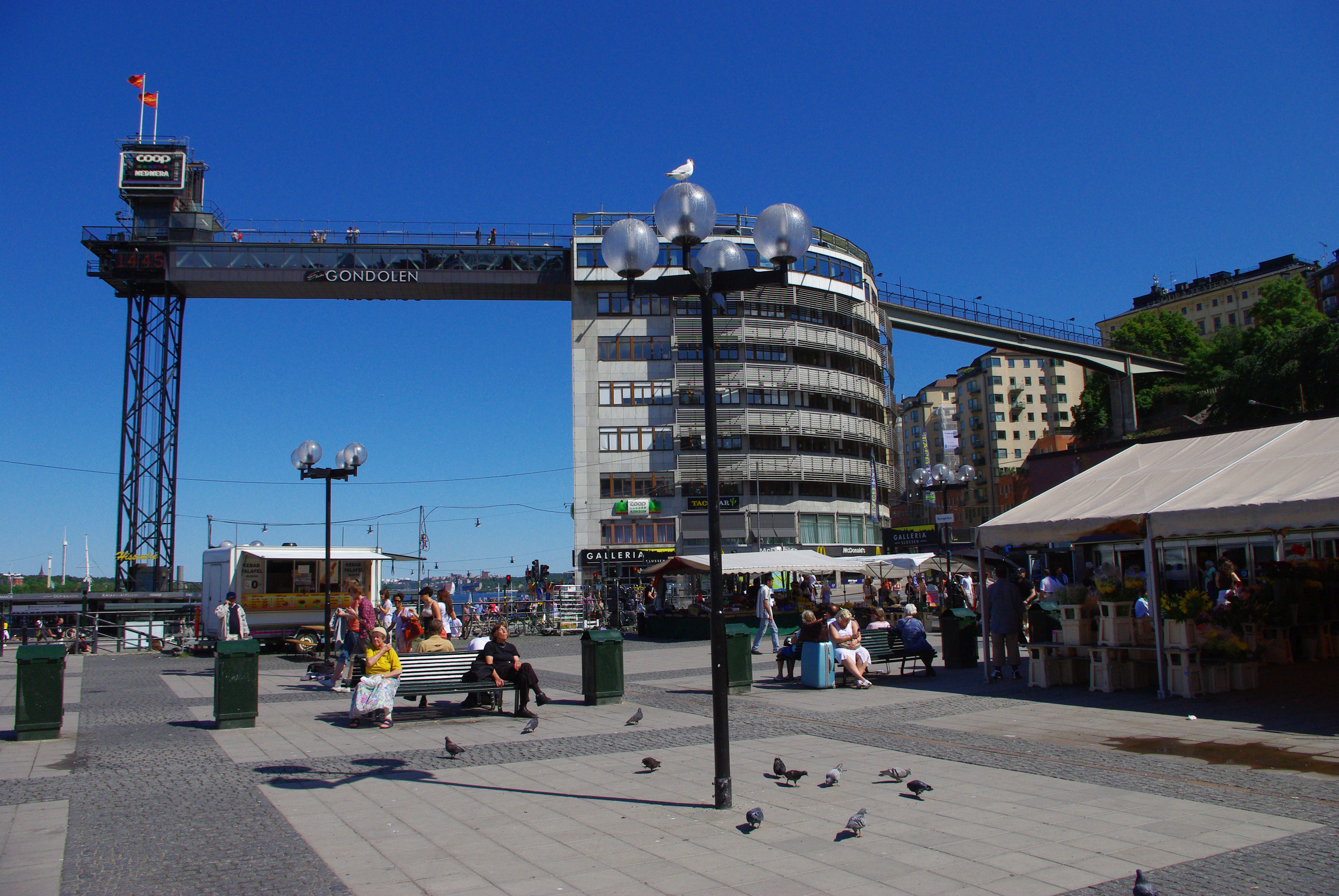 bild1.jpg